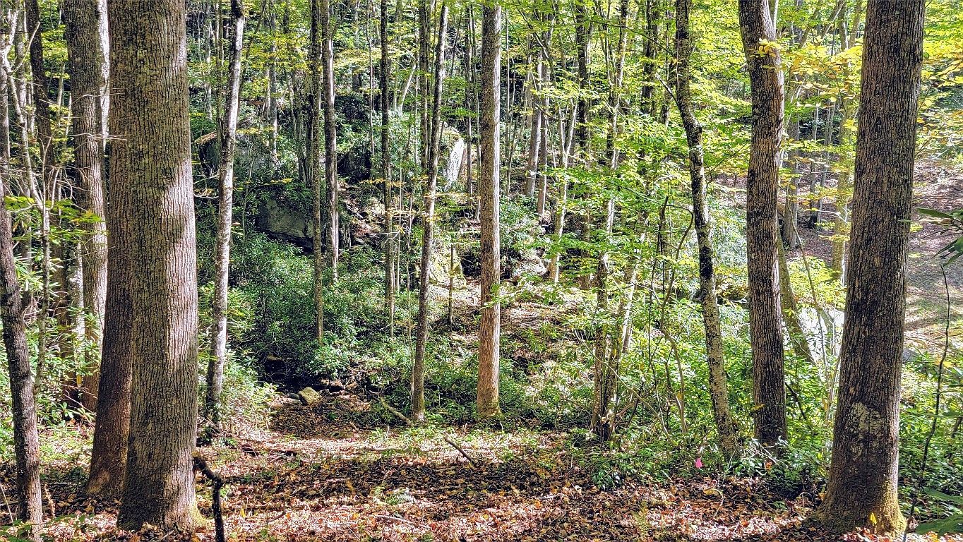 LOT Spikemoss Rd #Q Sapphire, NC 28774 - Thumbnail 2