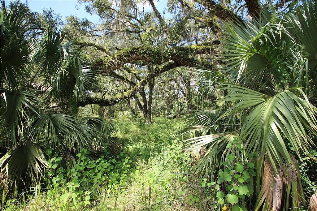 7730 SE 3rd Ter Inglis, FL 34449  | Land/Lot