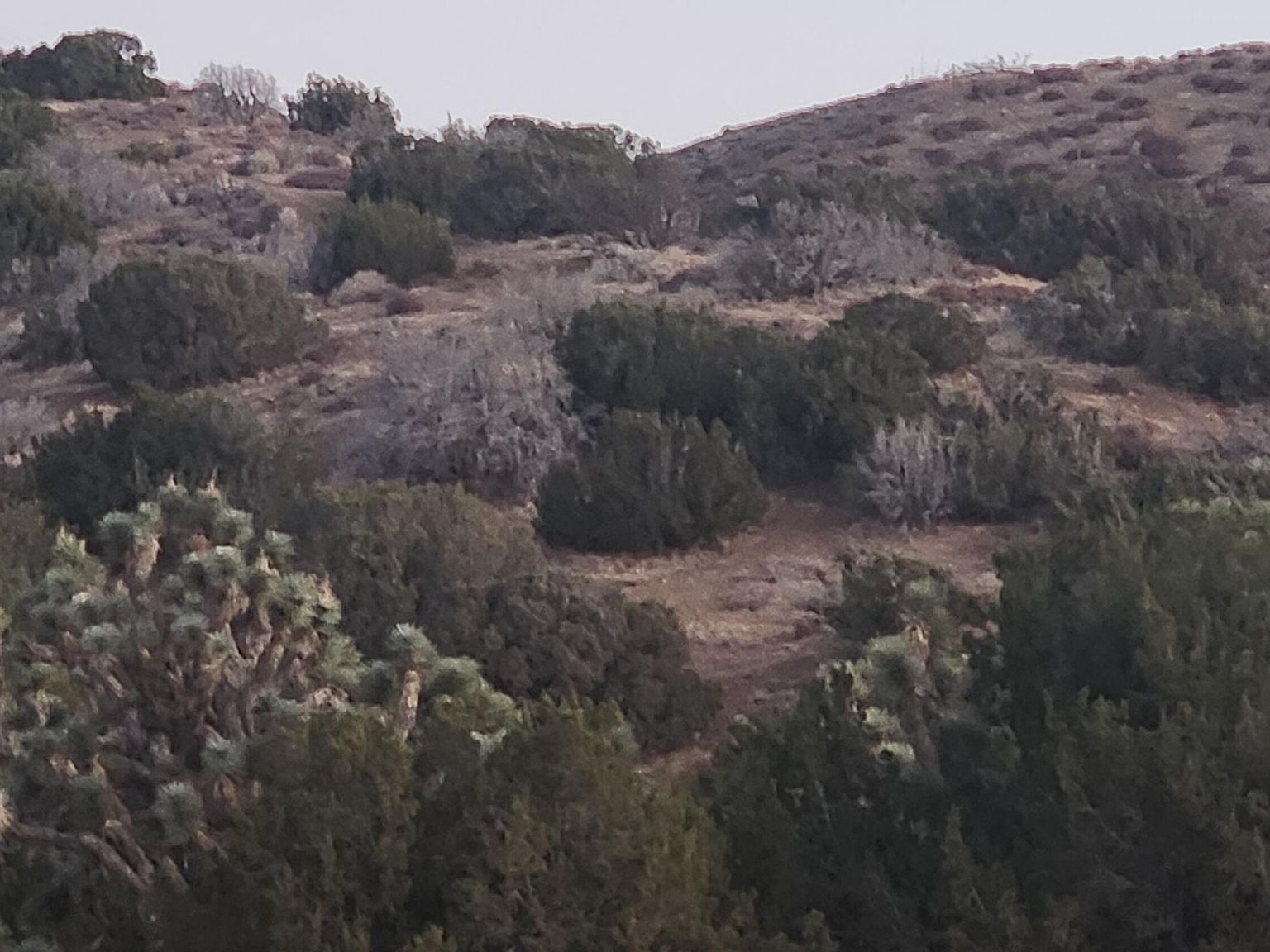 Vic Avenue Ste #F12-155 Lancaster, CA 93535  | Land/Lot