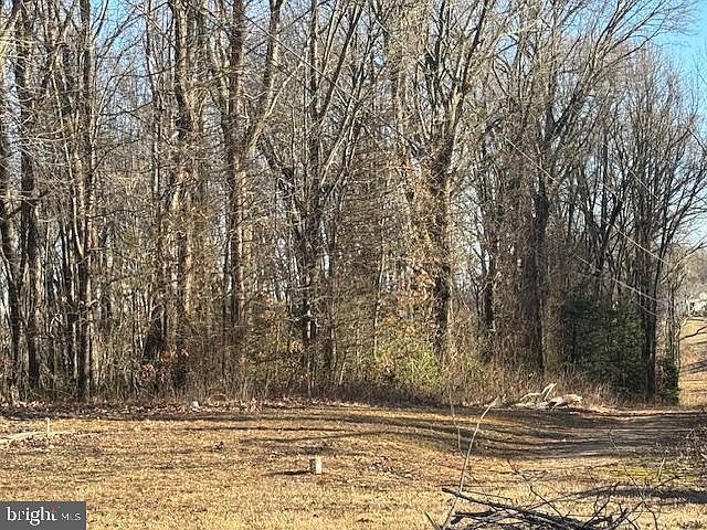 0 Windsor Dr Lot 20C King George, VA 22485, 22485