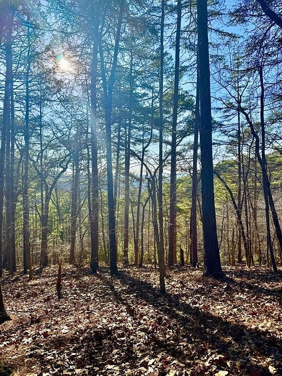 334 Packet Ct Ranger, GA 30734 - Thumbnail 2