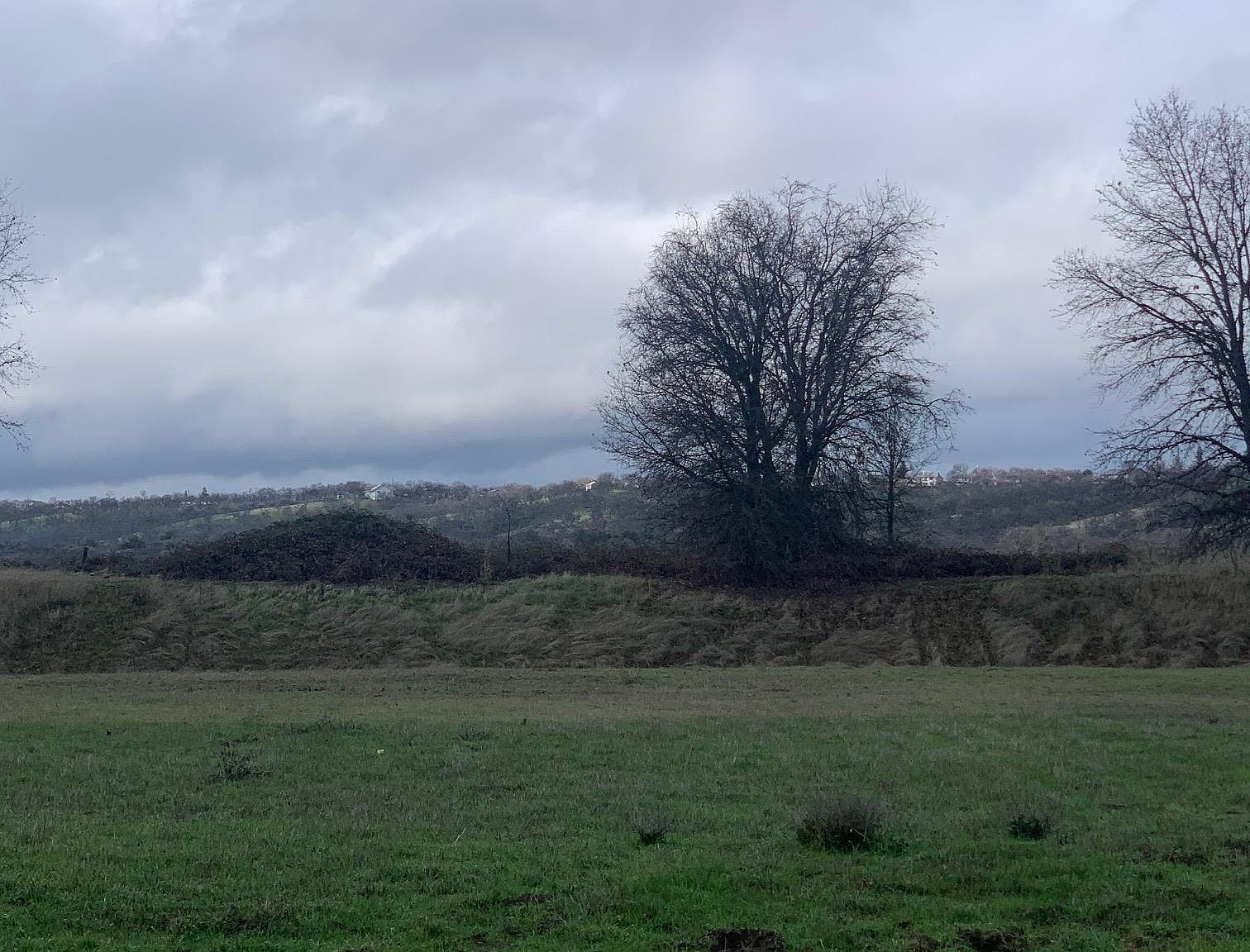 22810 Rio Alto Dr Cottonwood, CA 96022  | Land/Lot