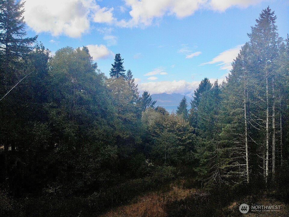 7625 NW Mountain Vista Ln Silverdale, WA 98383 - Thumbnail 2