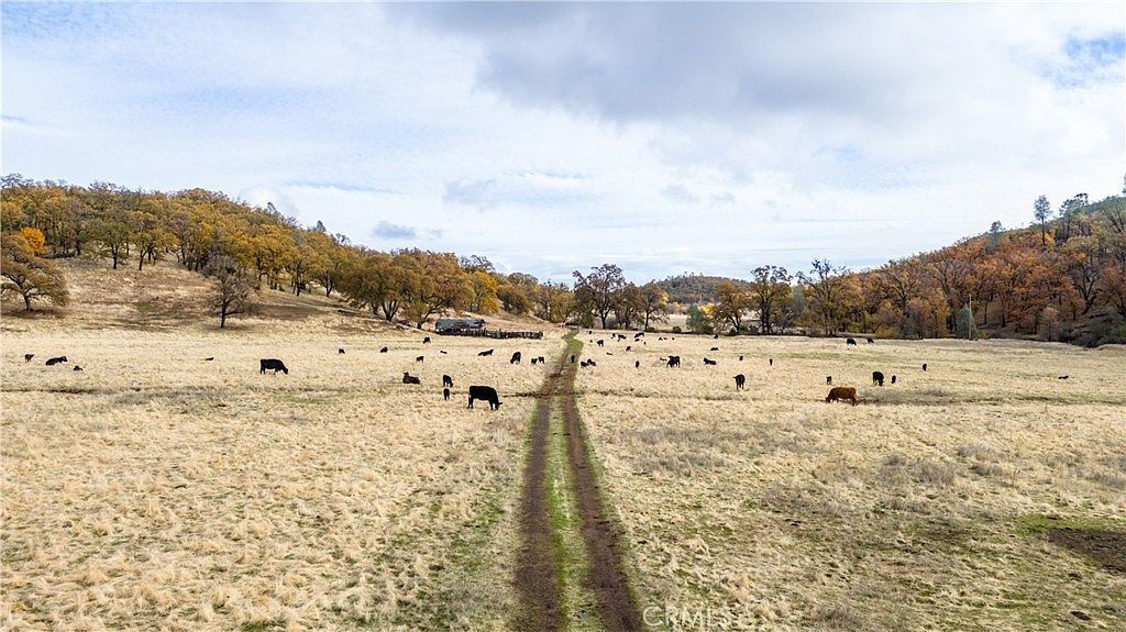 11158 Rocky Creek Rd Lower Lake, CA 95457 - Thumbnail 2