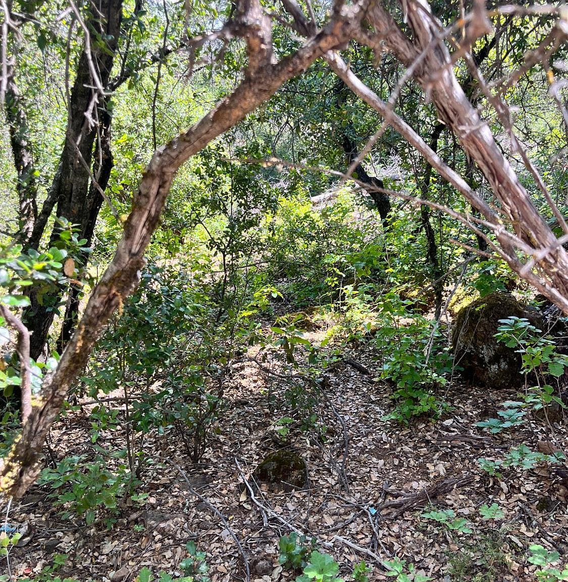 16486 8th Ave Clearlake, CA 95422 - Thumbnail 2