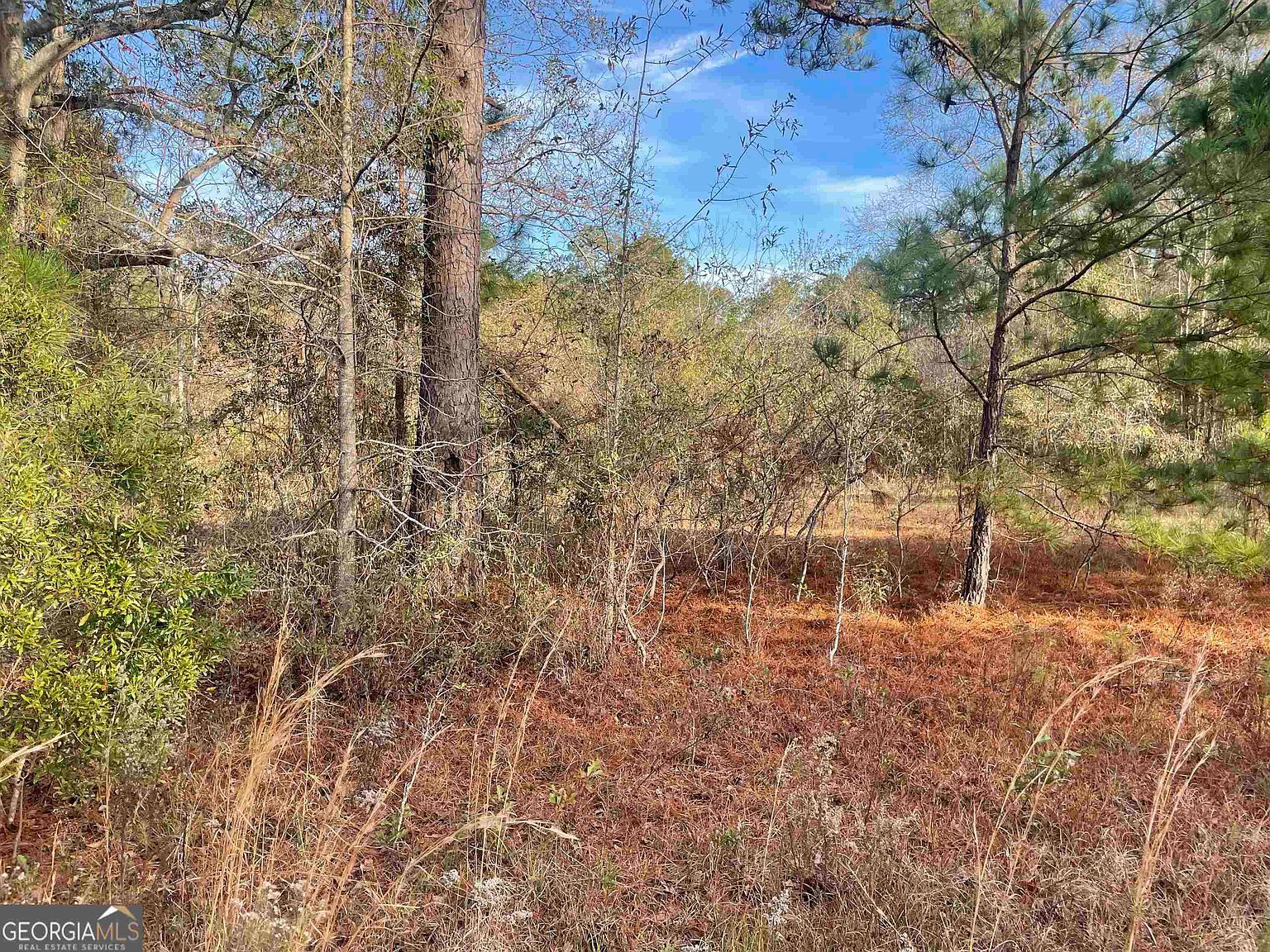 0 Mount Olive Way Soperton, GA 30457 - Thumbnail 2