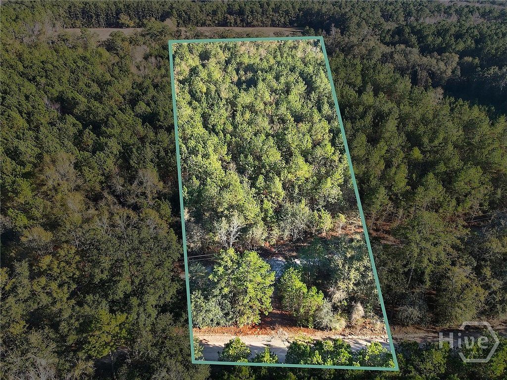 0 Beautiful Zion Cemetery Rd Pembroke, GA 31321 - Thumbnail 2