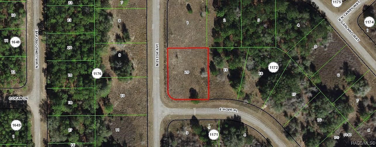 555 E Hope Pl Citrus Springs, FL 34434 - Thumbnail 2