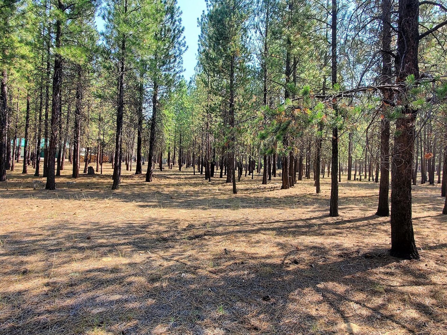 51986 Black Pine Way La Pine, OR 97739  | Land/Lot