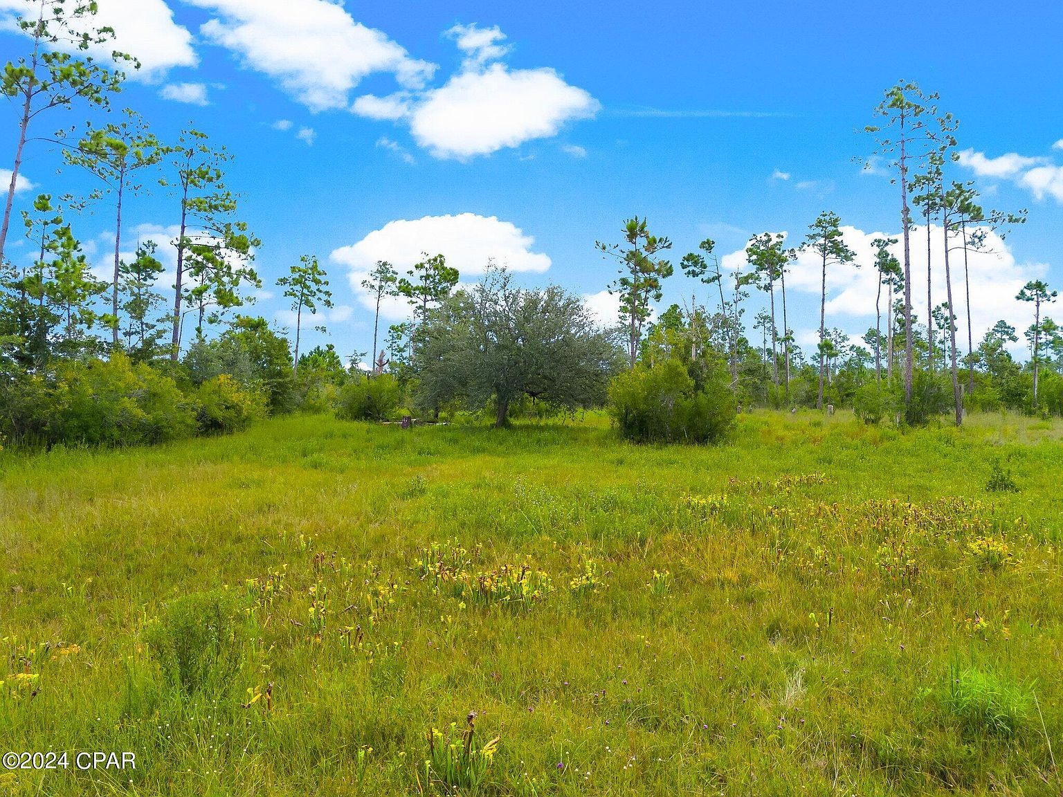 0 Harville Dr Panama City, FL 32404 - Thumbnail 2