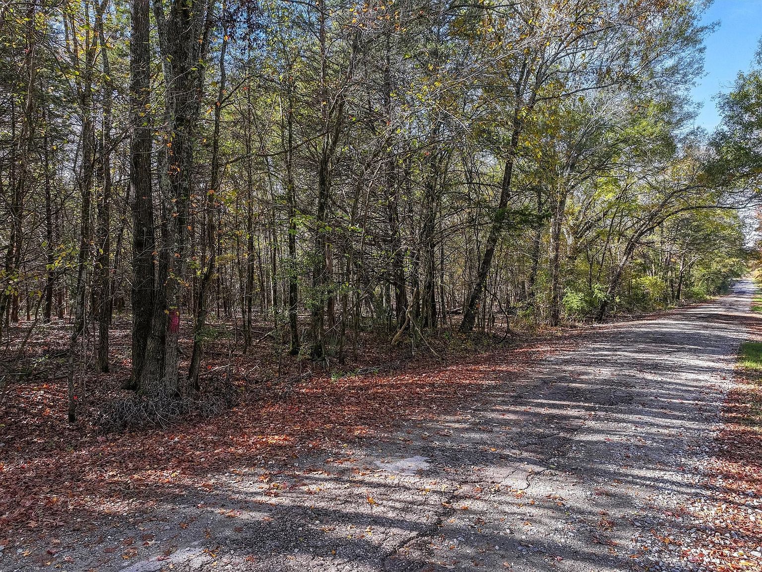 Vz County Road 3117 Edgewood, TX 75117 - Thumbnail 2