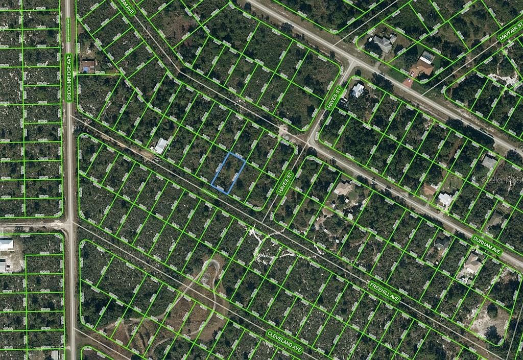 1034 Freehill Ave #10 Lake Placid, FL 33852  | Land/Lot