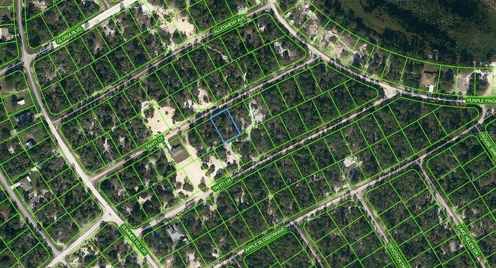 415 Tahiti Ct #8 Lake Placid, FL 33852  | Land/Lot