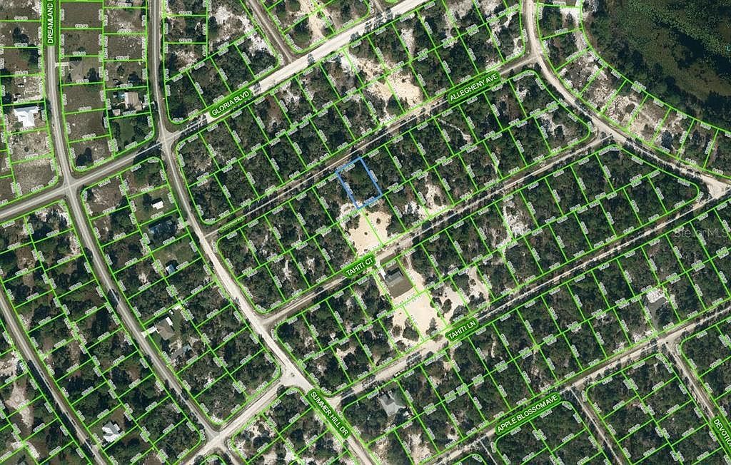 411 Allegheny Ave #6 Lake Placid, FL 33852  | Land/Lot