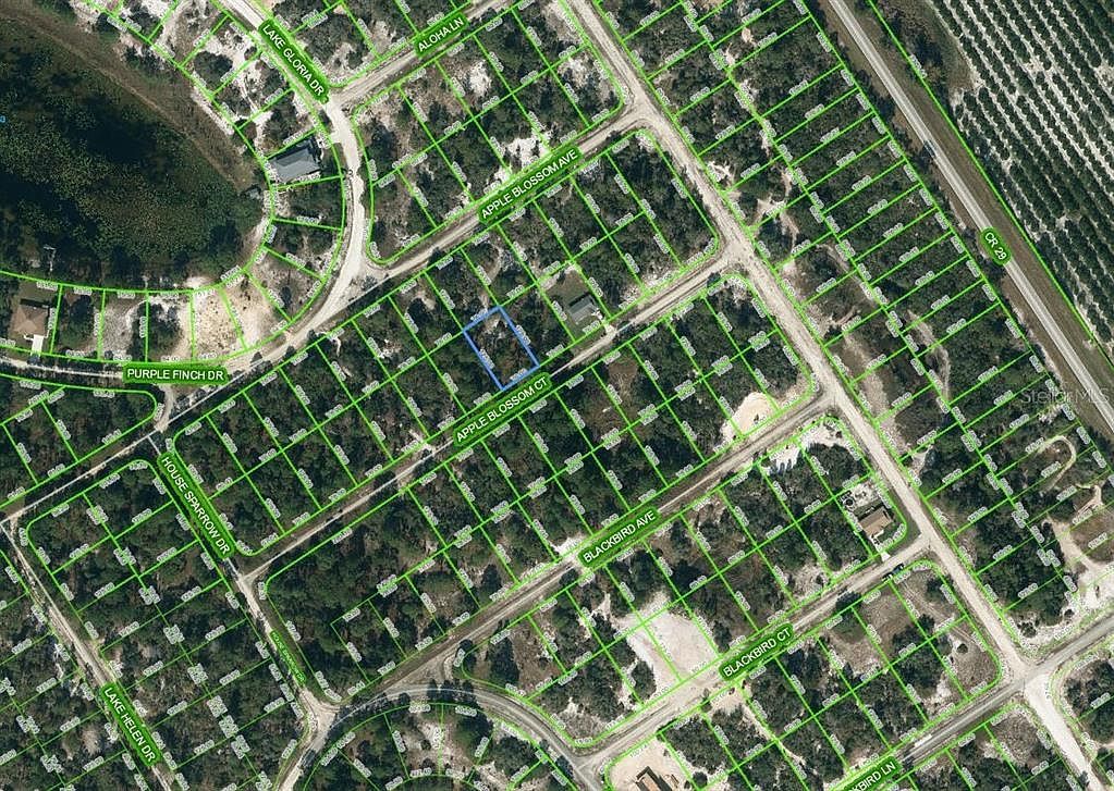448 Apple Blossom Ct #19 Lake Placid, FL 33852  | Land/Lot