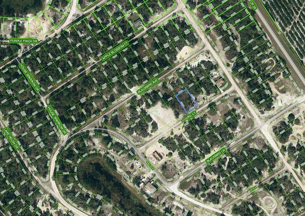 452 Blackbird Ct #13 Lake Placid, FL 33852  | Land/Lot