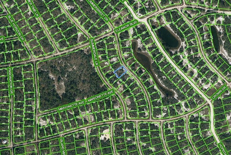 316 Summersweet Dr #9 Lake Placid, FL 33852  | Land/Lot