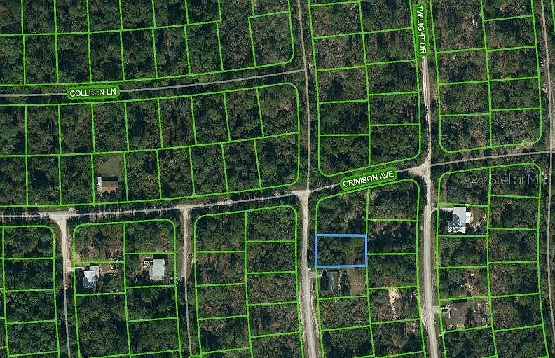 233 Dreamers Dr #2 Lake Placid, FL 33852  | Land/Lot