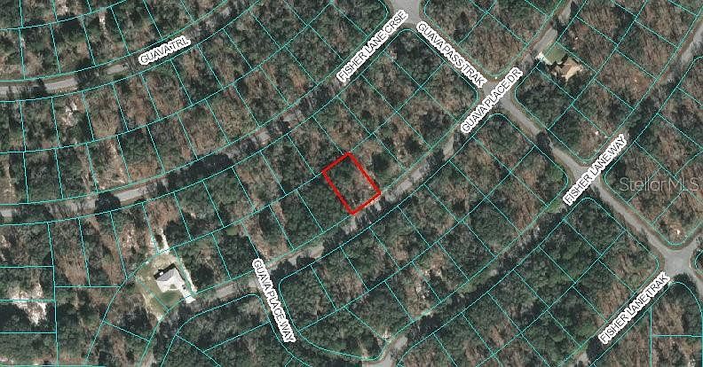 0 Guava Place Dr #14 Ocklawaha, FL 32179  | Land/Lot