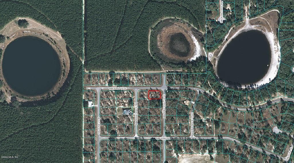 0 Malauka Trail Crse #8 Ocklawaha, FL 32179  | Land/Lot