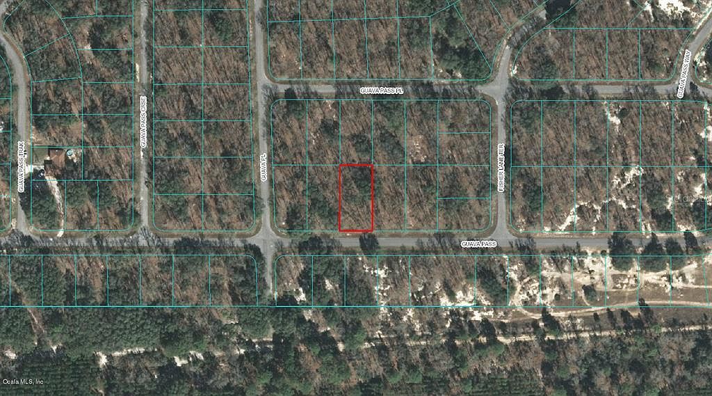 0 Guava Pass #7 Ocklawaha, FL 32179 | Land/Lot