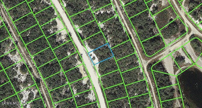 217 Hopedale Dr #33 Lake Placid, FL 33852  | Land/Lot