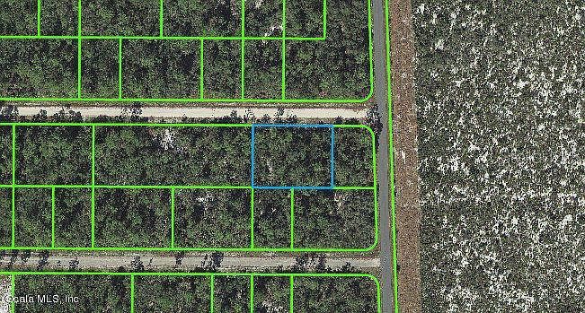 3104 Lewis Ave #10 Lake Placid, FL 33852 | Land/Lot