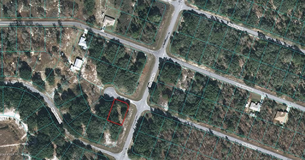 0 Malauka Dr #44 Ocklawaha, FL 32179  | Land/Lot