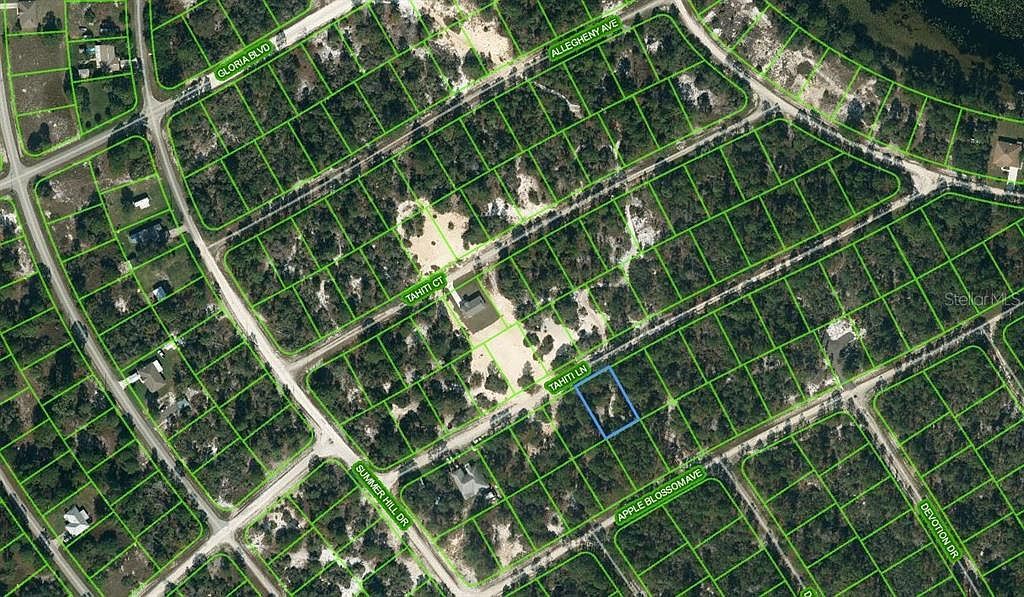 411 Tahiti Ln #6 Lake Placid, FL 33852  | Land/Lot