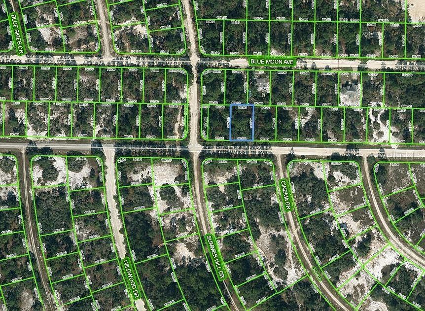 384 Jack Weisser Blvd #55 Lake Placid, FL 33852  | Land/Lot