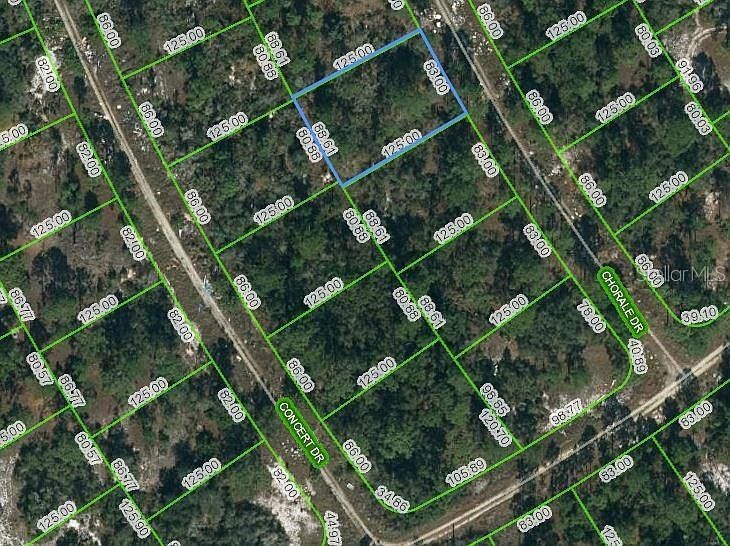 366 Chorale Dr #19 Lake Placid, FL 33852  | Land/Lot