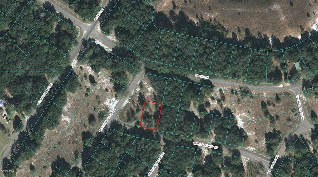 0 Guava Terrace Pl #16 Ocklawaha, FL 32179 | Land/Lot