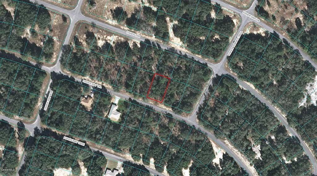 0 Fisher Way Trl #11 Ocklawaha, FL 32179  | Land/Lot