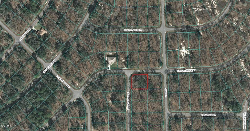 0 Guava Pass #8 Ocklawaha, FL 32179  | Land/Lot