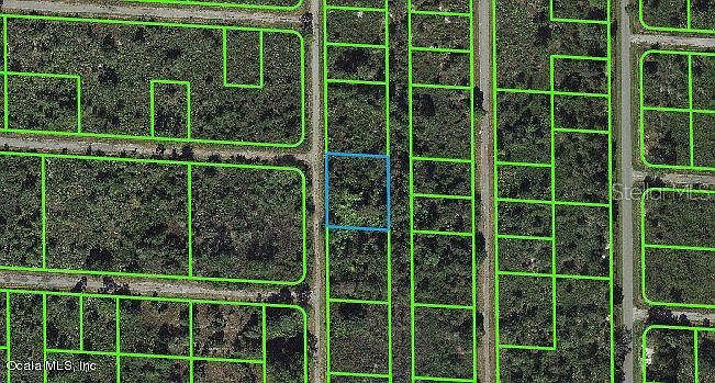 941 Davis St #8 Lake Placid, FL 33852 | Land/Lot
