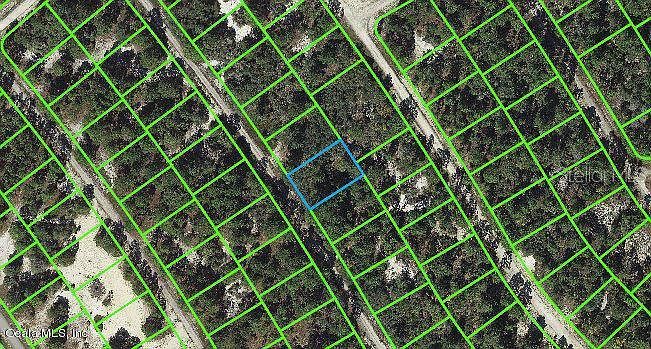 525 Dreamland Dr #21 Lake Placid, FL 33852  | Land/Lot
