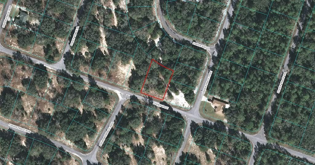 0 Fisher Trce #1 Ocklawaha, FL 32179  | Land/Lot