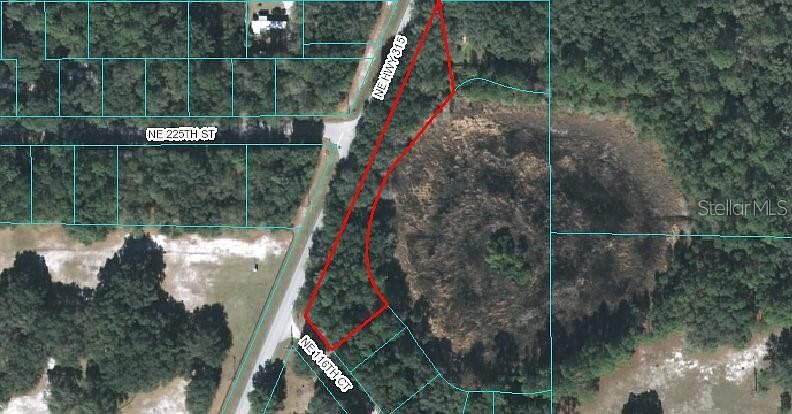 0 NE Highway 315 #8 Fort Mc Coy, FL 32134  | Land/Lot