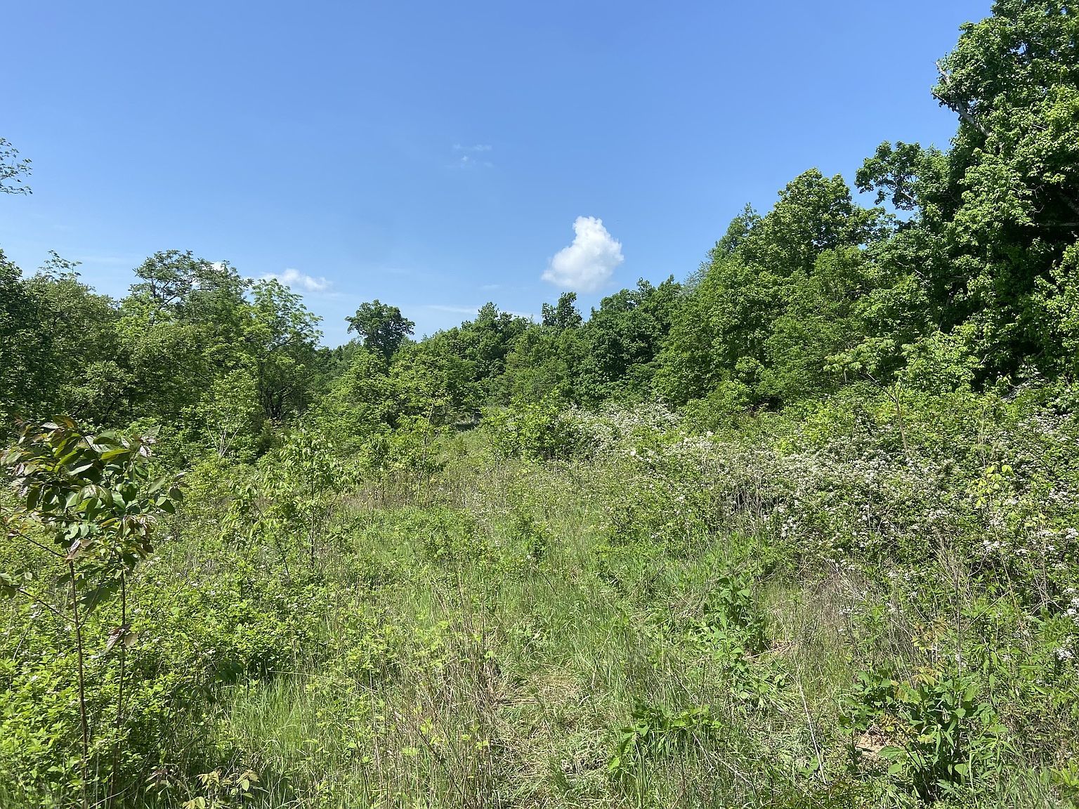 0 Possum Trott Rd Shelbyville, TN 37160 - Thumbnail 2