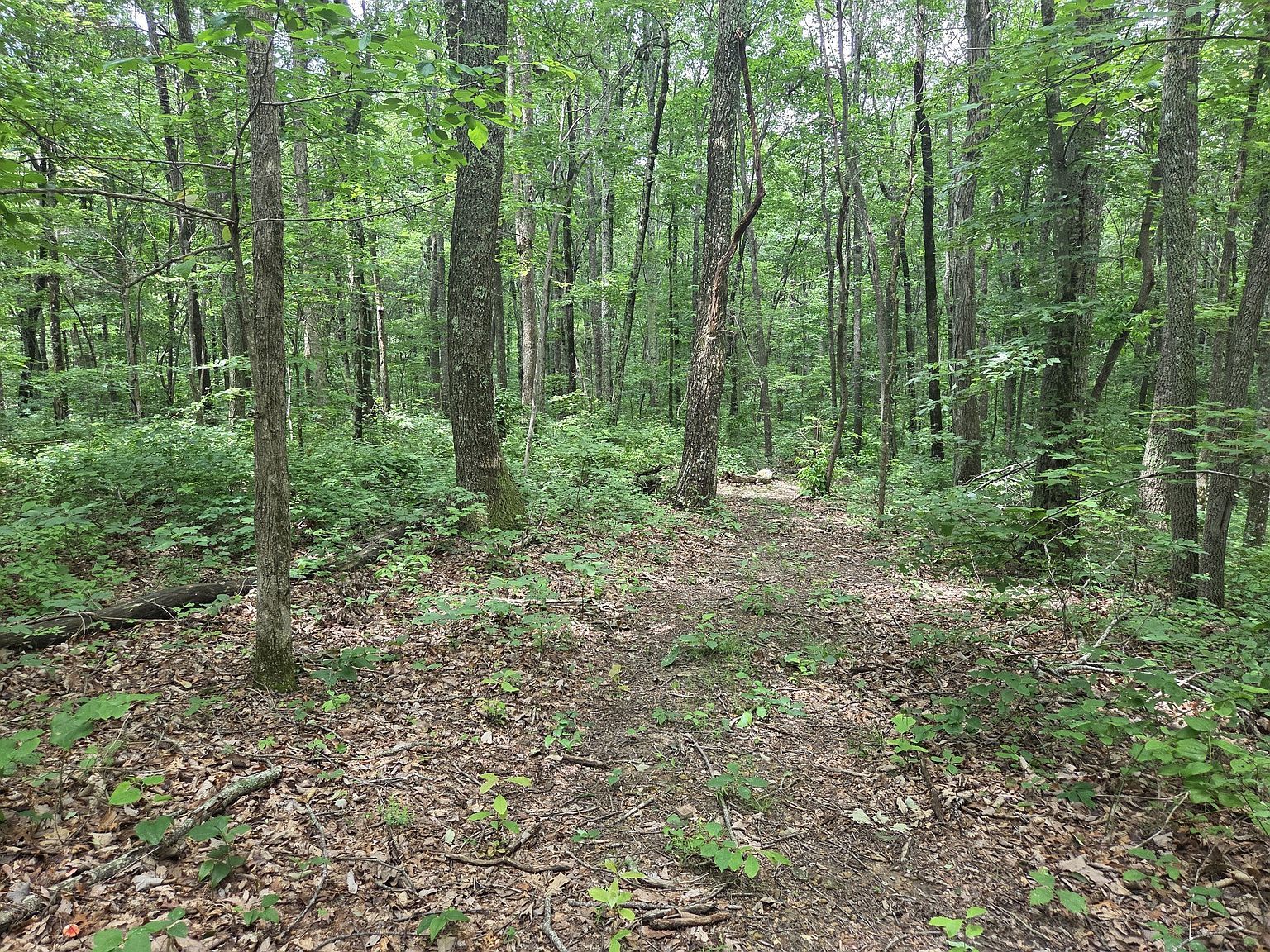 0 Blumont Dr Altamont, TN 37301 - Thumbnail 2