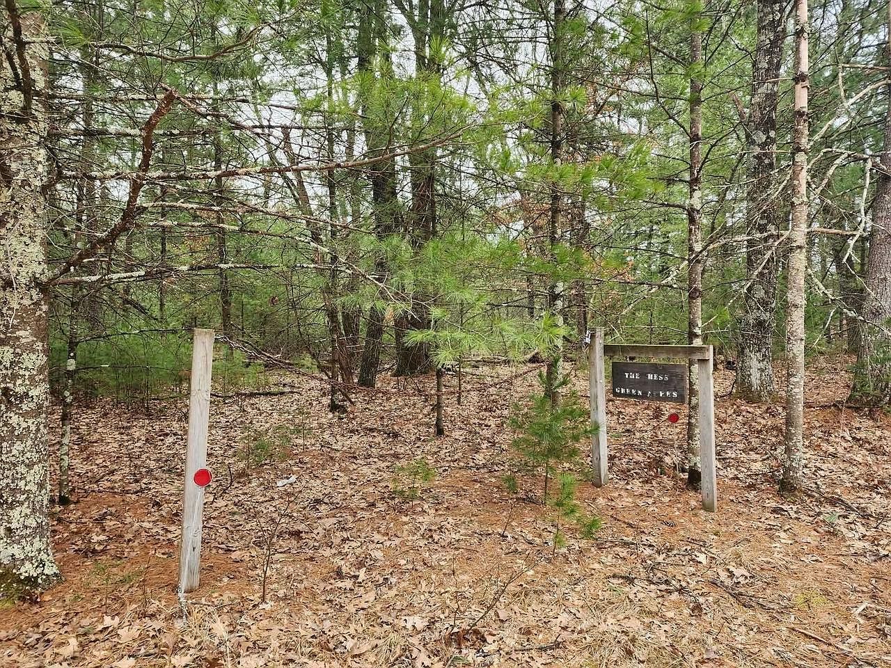 Dyke Ave #8 Adams, WI 53910  | Land/Lot