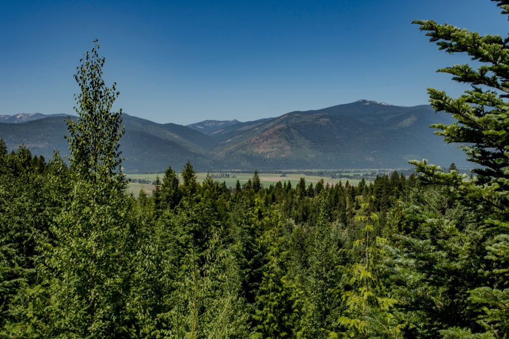 NNA Cottage Ln, Bonners Ferry, ID, 83805 - Thumbnail 2