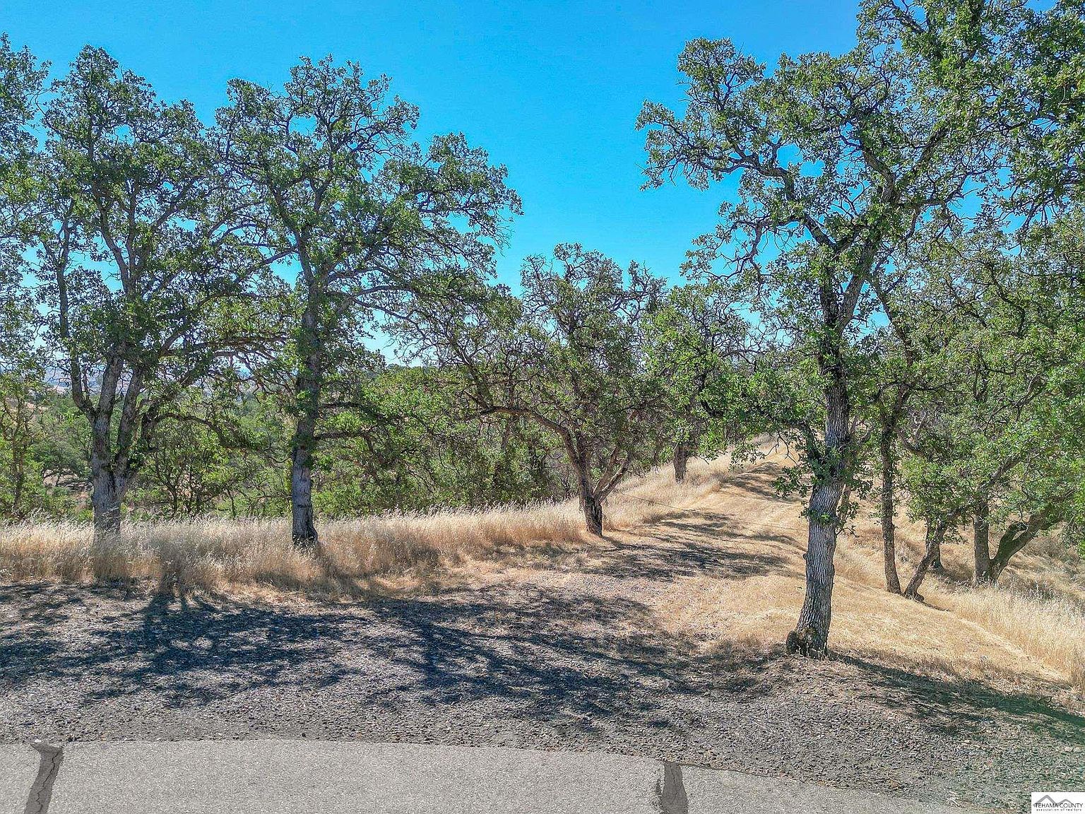 0 Wood Duck Pass Red Bluff, CA 96080 - Thumbnail 2