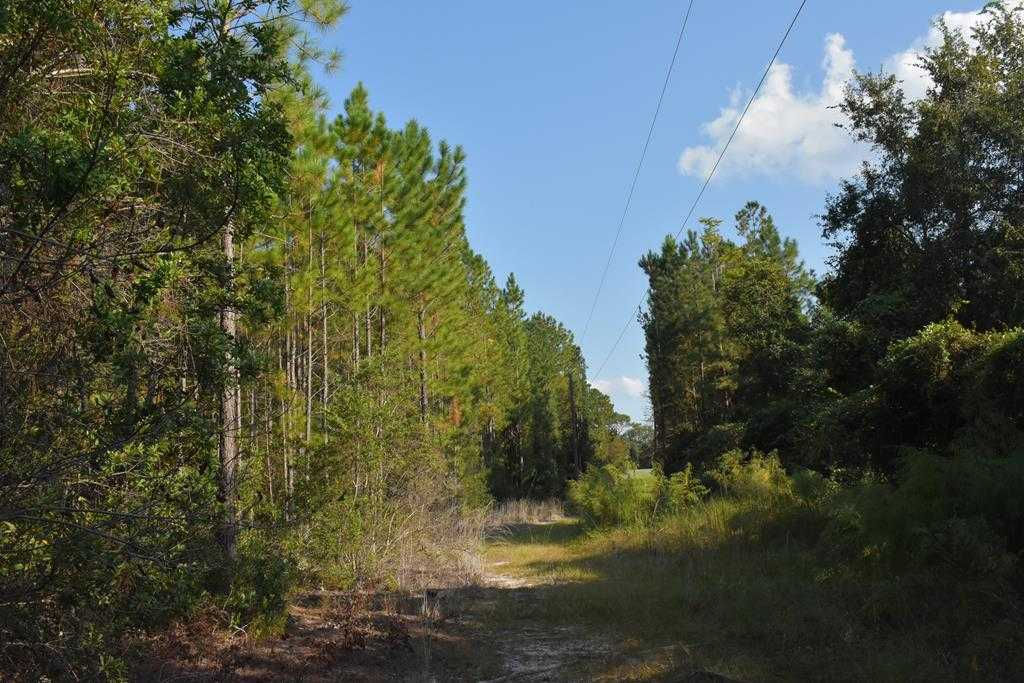 45 AC Kevin Road, Hinesville, GA, 31313 - Thumbnail 2