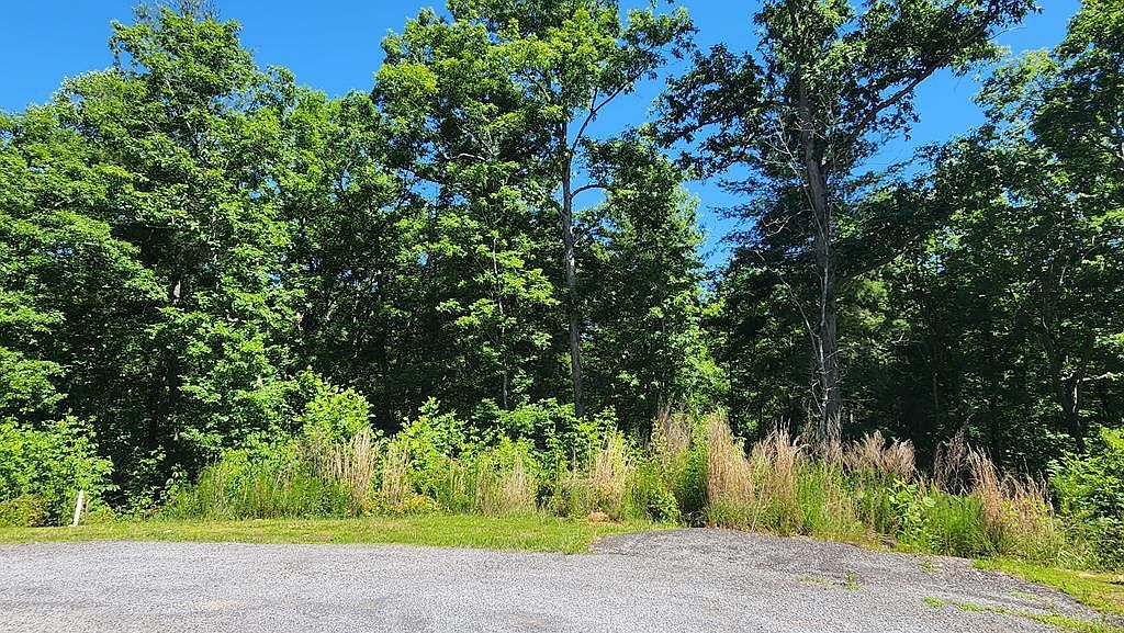 LOT 112 Jakes Landing Dr Ellijay, GA 30540, 30540