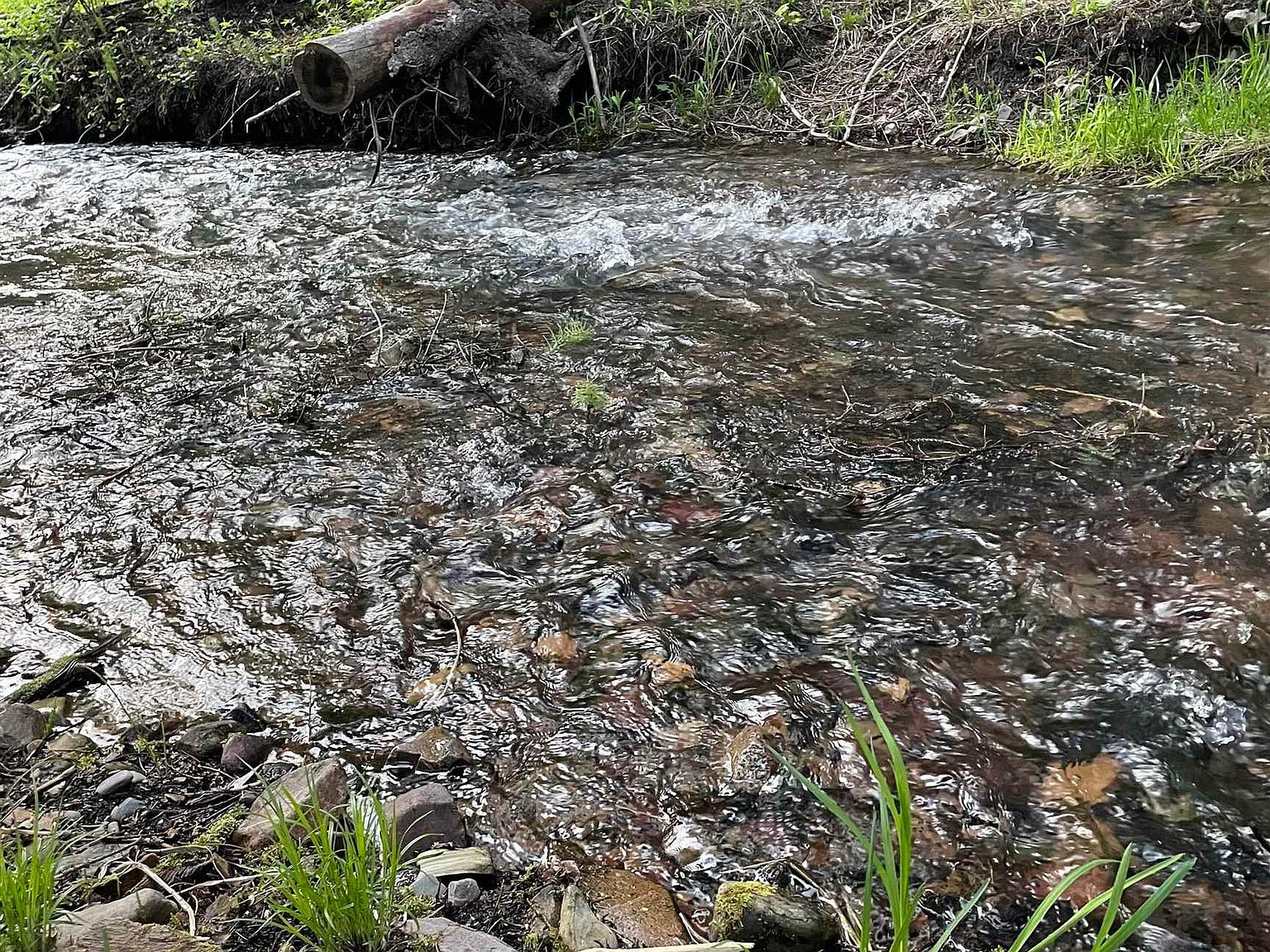 245 Night Hawk Ln Newport, WA 99156 - Thumbnail 2