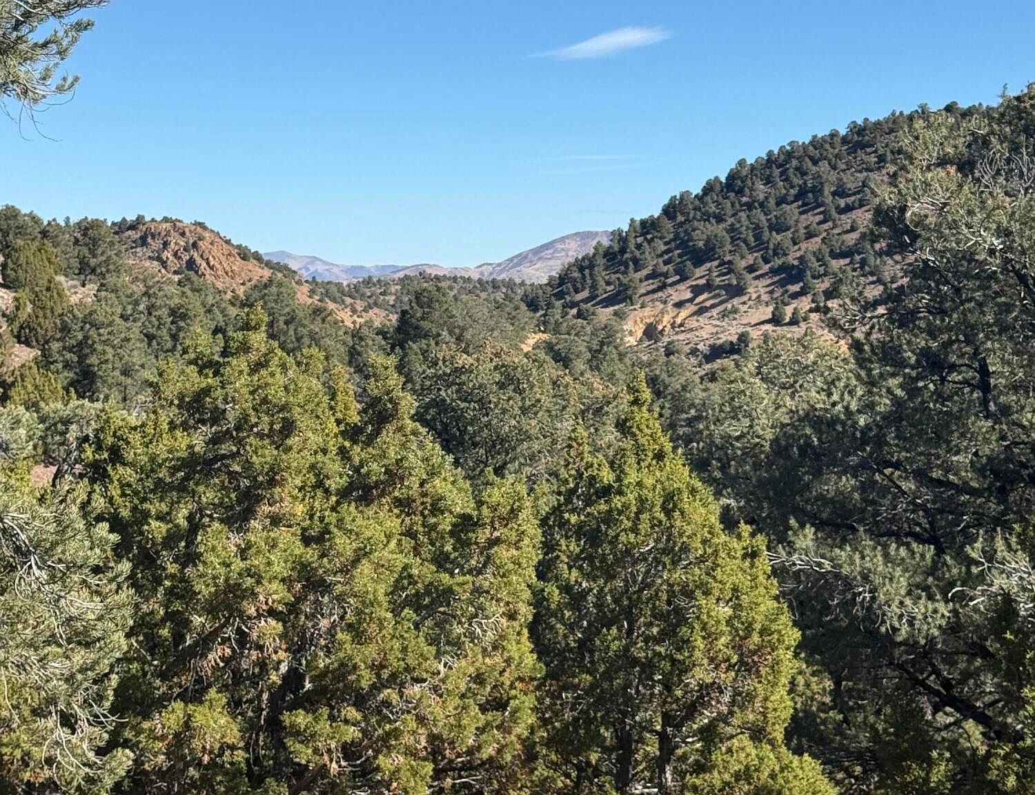 2120 Scorpion Rd #212 Reno, NV 89521 - Thumbnail 2