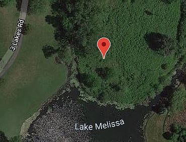 LOT 26 Three Lakes Rd Barrington, IL 60010 - Thumbnail 2