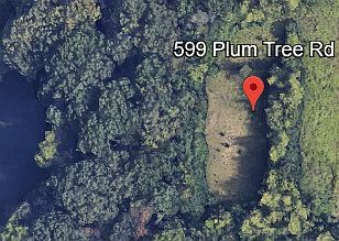 599 N Plum Tree Rd Barrington Hills, IL 60010 - Thumbnail 2