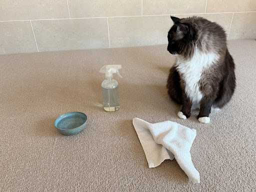 123 William Street, New York, NY, USA, 10038  | Single Family